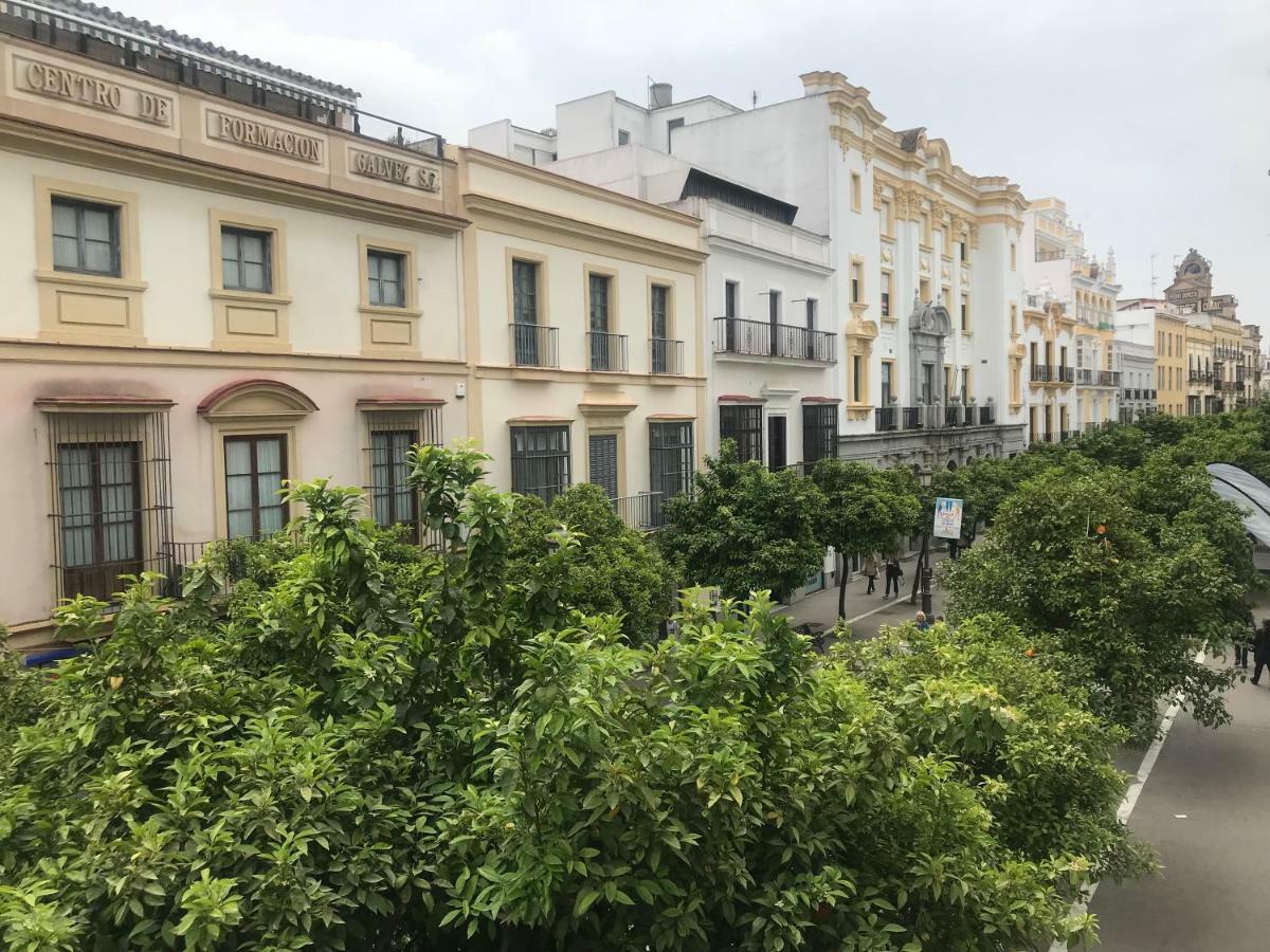 Apartamento Centro Jerez Leilighet Jerez de la Frontera Eksteriør bilde